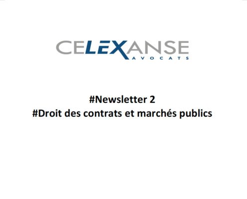 Celexanse newsletter #2